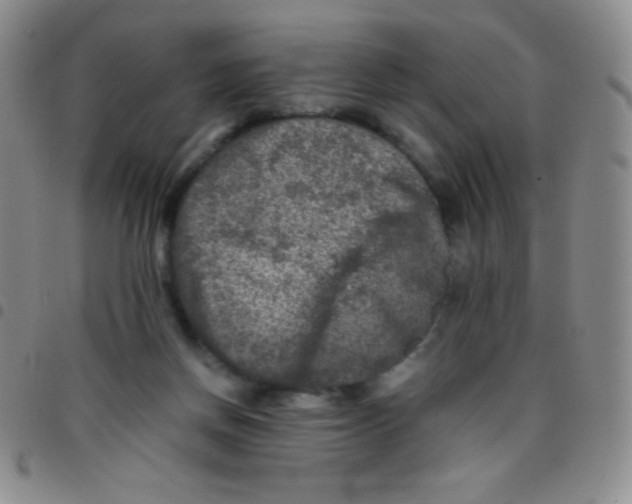 X0000097480166200803141942