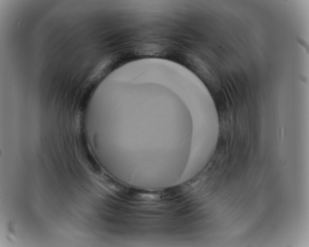 X0000097480167200803141942