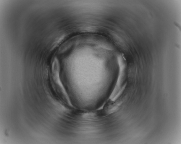 X0000097480168200803141942