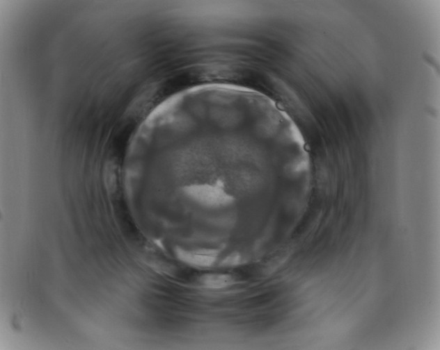 X0000097480169200803141942