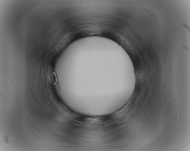 X0000097480170200803141942