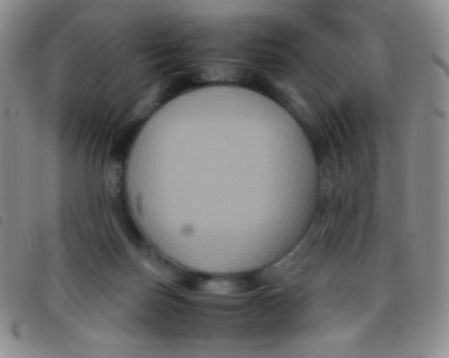 X0000097480171200803141942