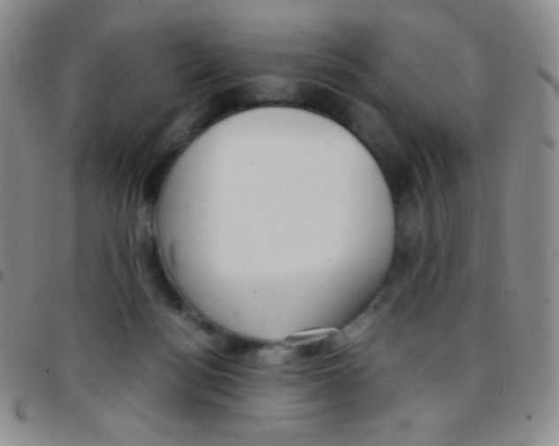 X0000097480172200803141942