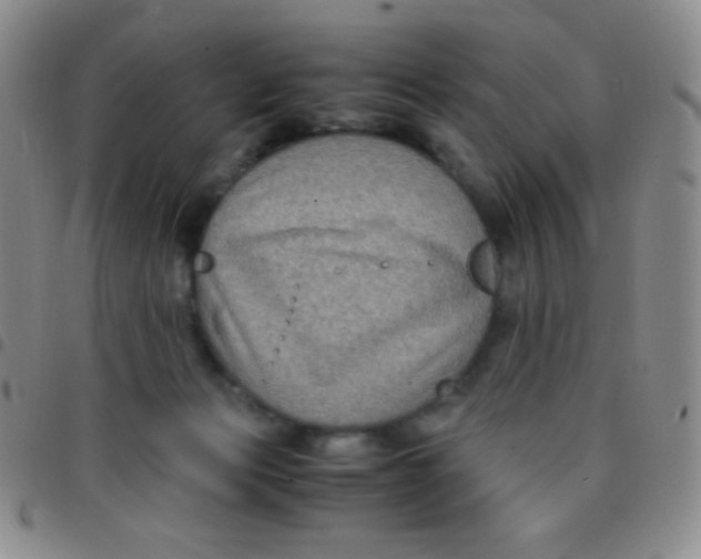 X0000097480173200803141942