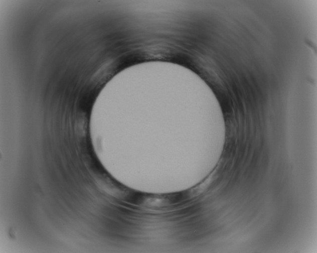 X0000097480174200803141942