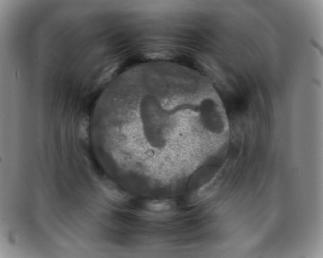 X0000097480175200803141942