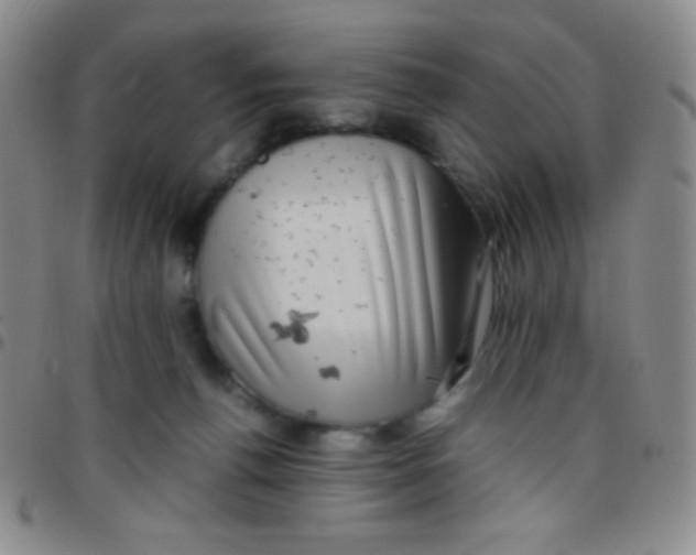 X0000097480176200803141942