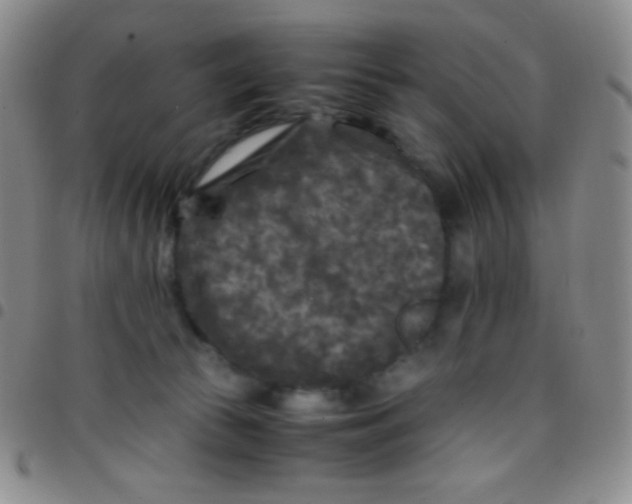 X0000097480177200803141942