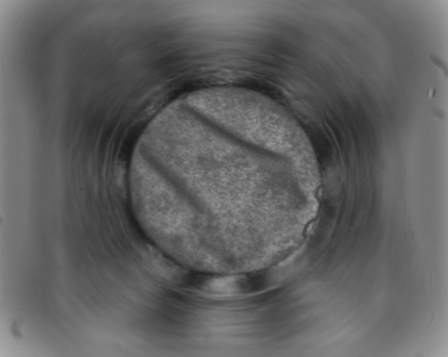 X0000097480178200803141942