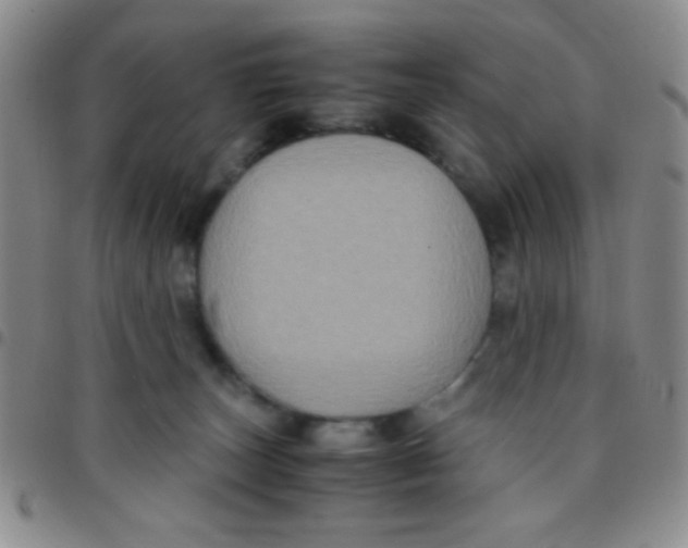 X0000097480179200803141942