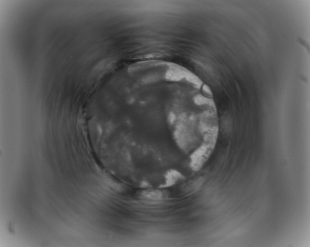 X0000097480181200803141943