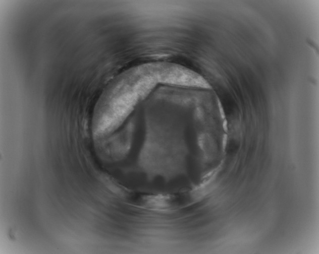 X0000097480182200803141943