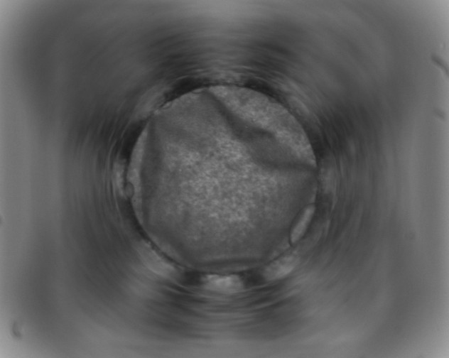 X0000097480185200803141943