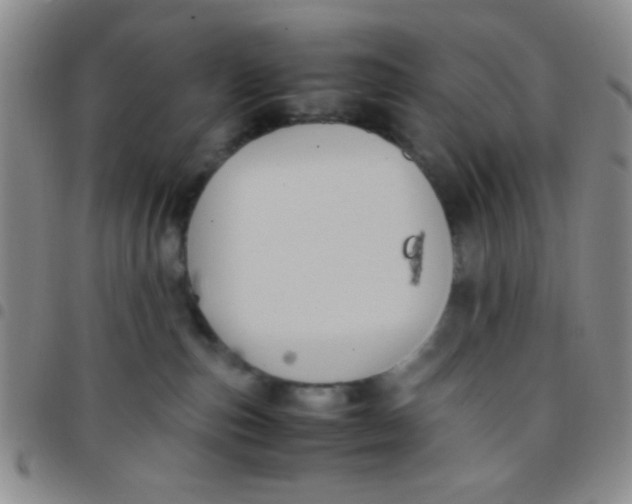 X0000097480187200803141943