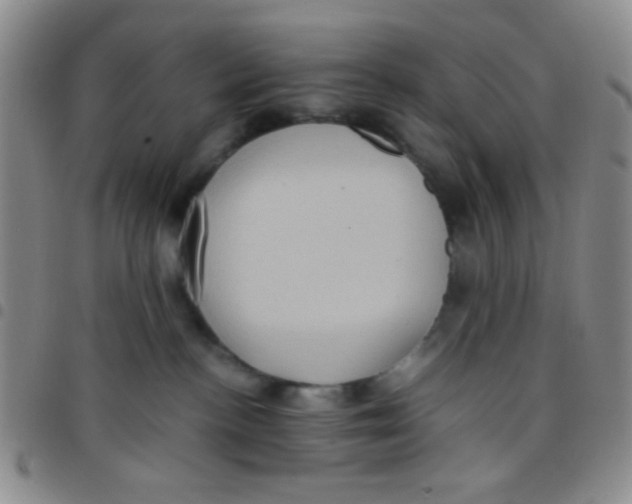 X0000097480188200803141943