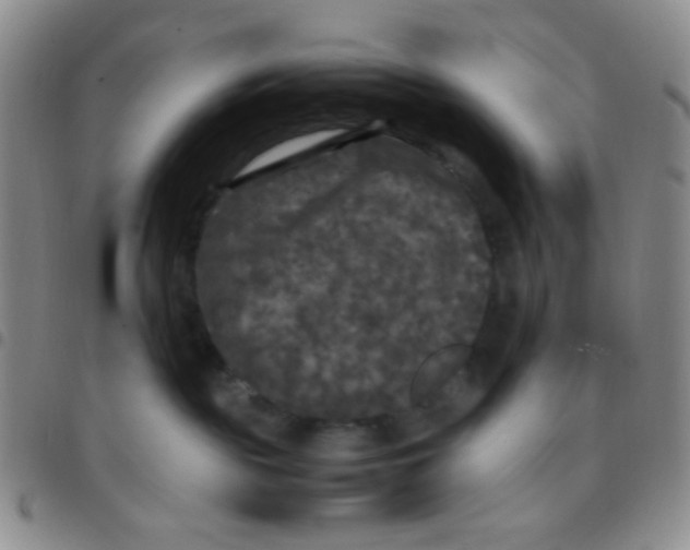 X0000097480189200803141943