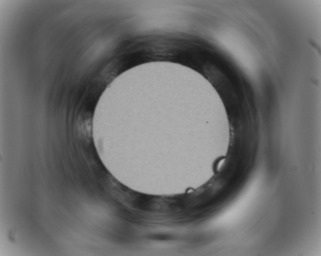 X0000097480190200803141943