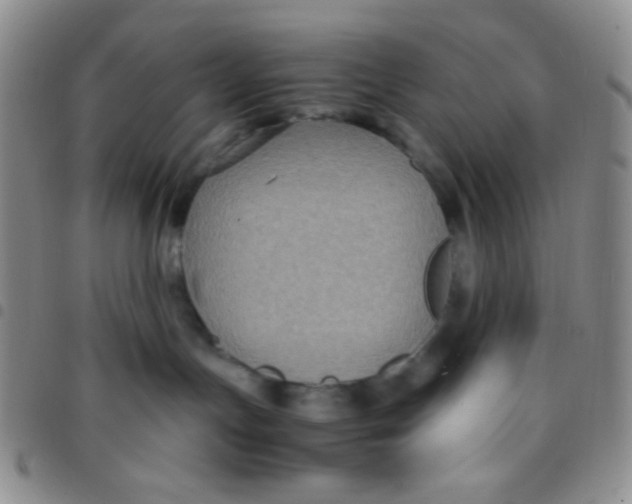 X0000097480191200803141943