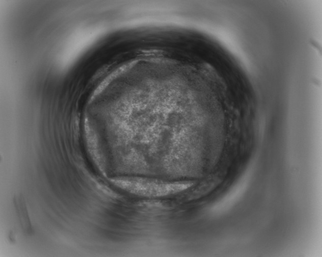 X0000097480194200803141942