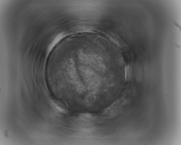 X0000097480195200803141942