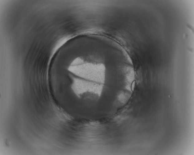 X0000097480196200803141942