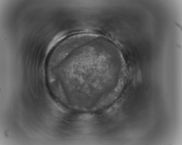 X0000097480198200803141942