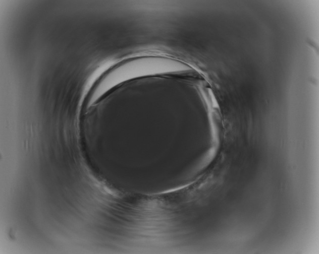 X0000097480200200803141942