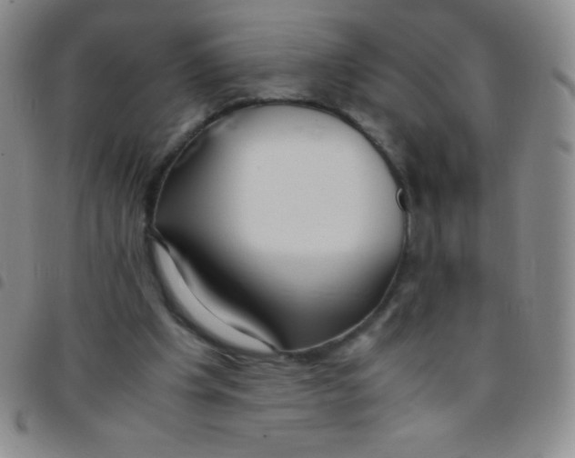 X0000097480201200803141942