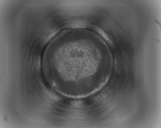 X0000097480202200803141942