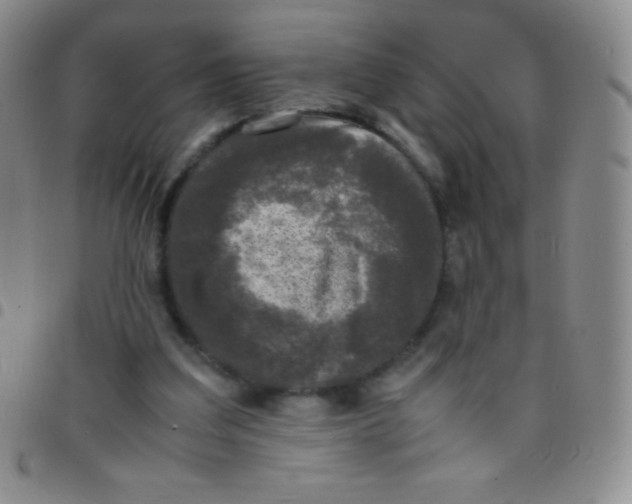 X0000097480203200803141942