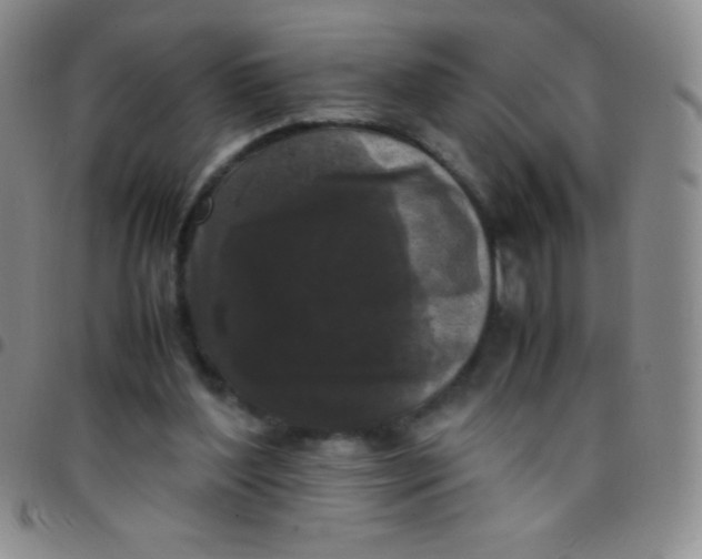 X0000097480204200803141942