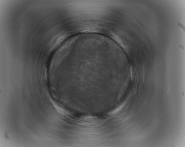 X0000097480205200803141942