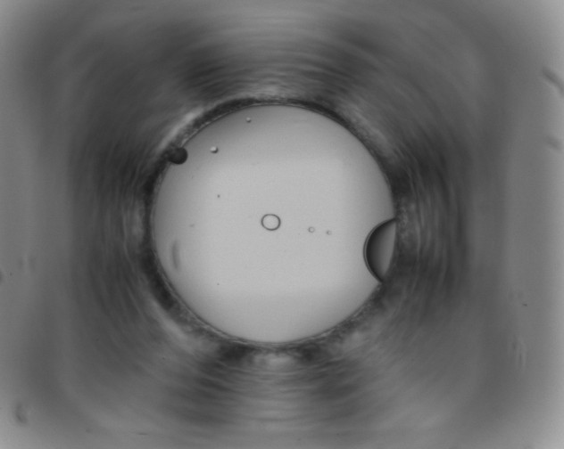 X0000097480208200803141942