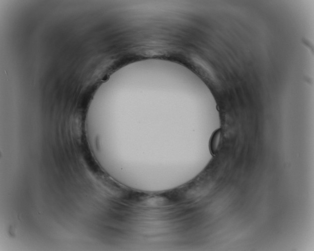 X0000097480210200803141942