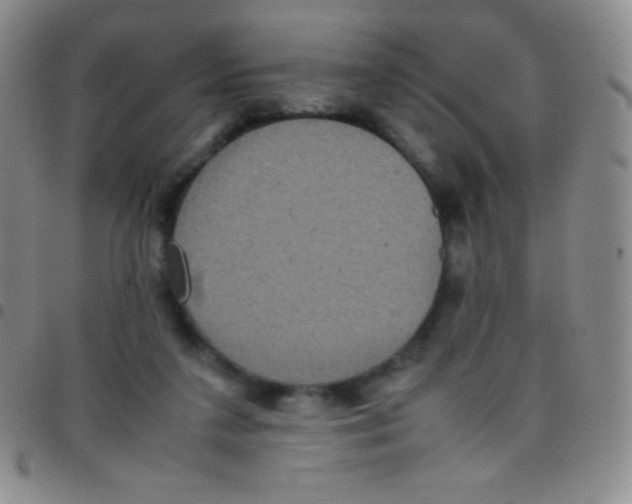 X0000097480211200803141942