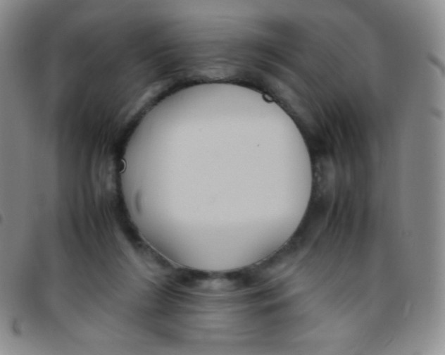 X0000097480212200803141942