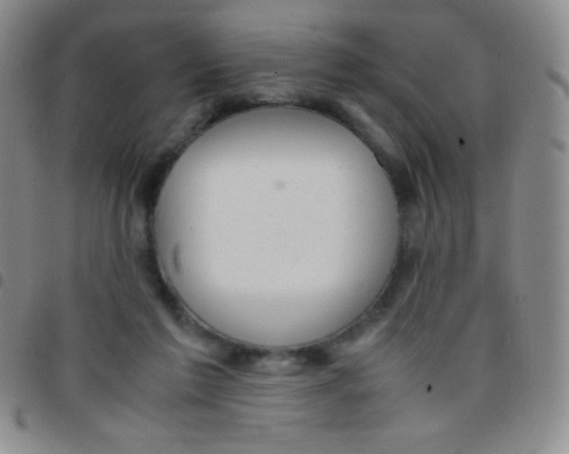 X0000097480213200803141942