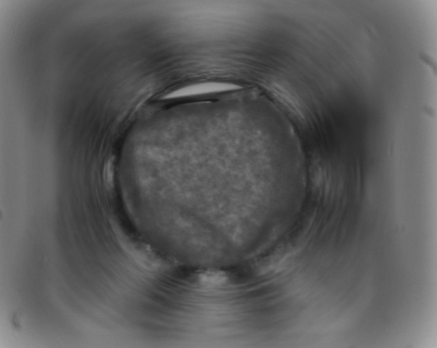 X0000097480214200803141942