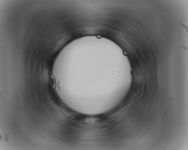 X0000097480216200803141942