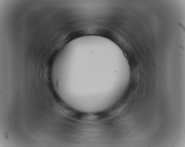 X0000097480217200803141942