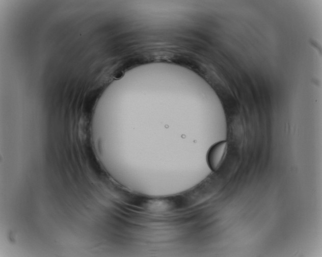 X0000097480218200803141942