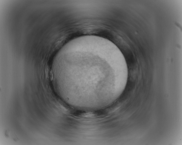 X0000097480219200803141942