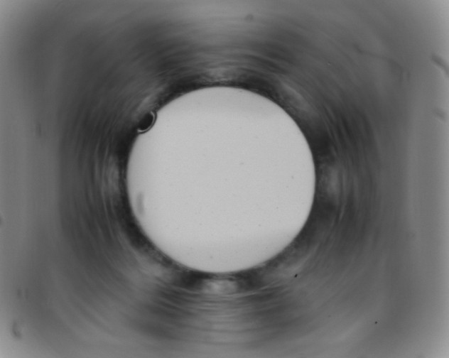 X0000097480220200803141942