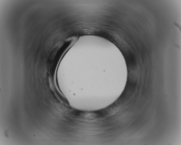 X0000097480221200803141942