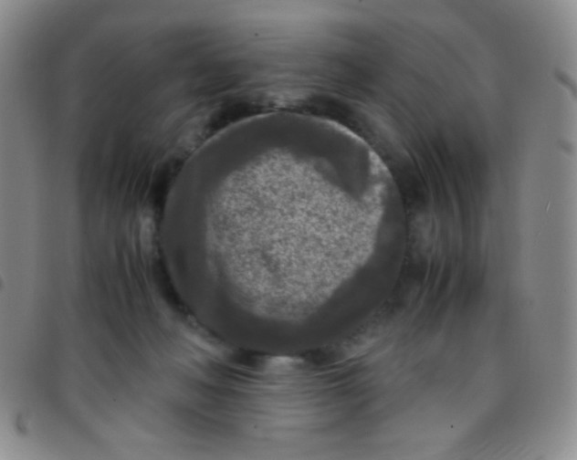 X0000097480222200803141942