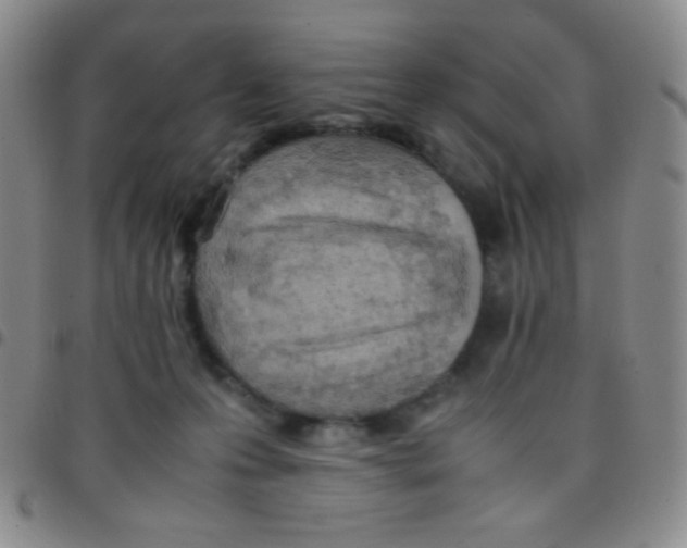 X0000097480223200803141942