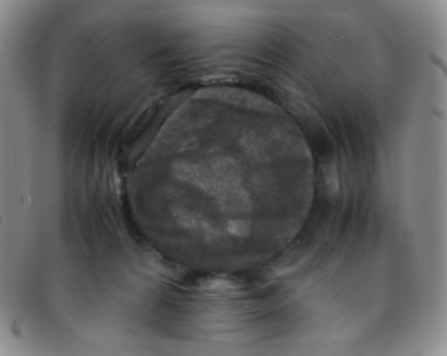 X0000097480224200803141942