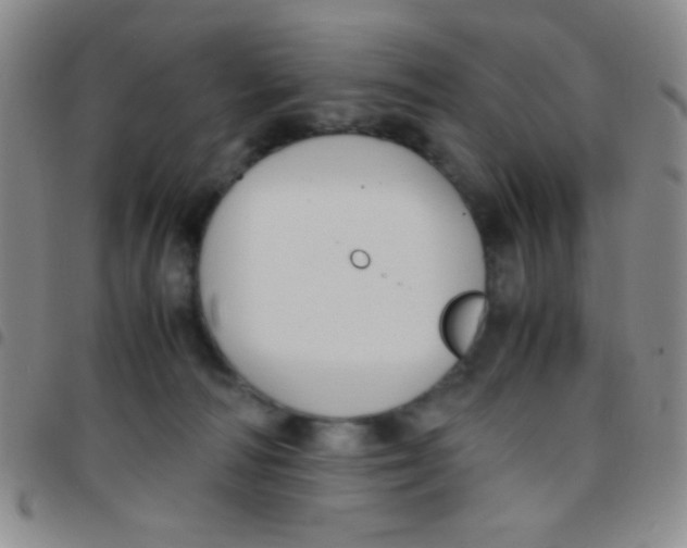 X0000097480226200803141942