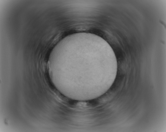 X0000097480227200803141942