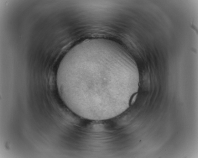 X0000097480228200803141942